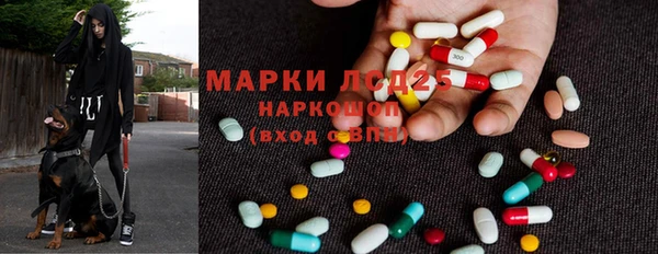ГАЛЛЮЦИНОГЕННЫЕ ГРИБЫ Богородицк
