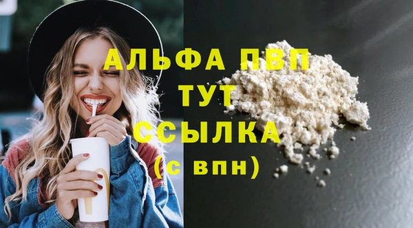 spice Богданович