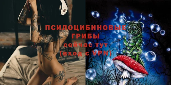 spice Богданович
