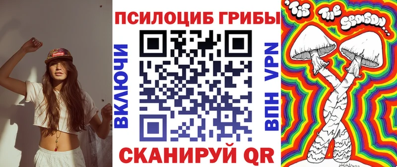 Псилоцибиновые грибы мухоморы  даркнет телеграм  Дубовка 